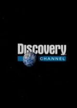 Discovery-о޹ֵһ