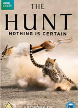 Բ The Hunt һ